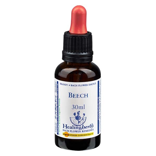 3 Beech, 30ml Essenz, Healing Herbs