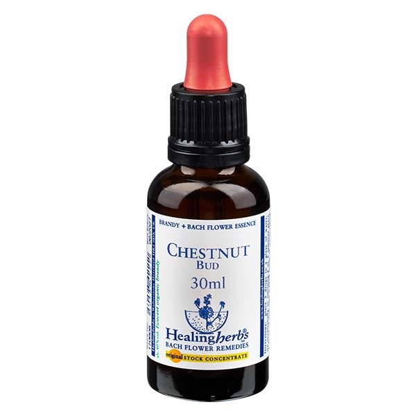 7 Chestnut Bud, 30ml Essenz, Healing Herbs