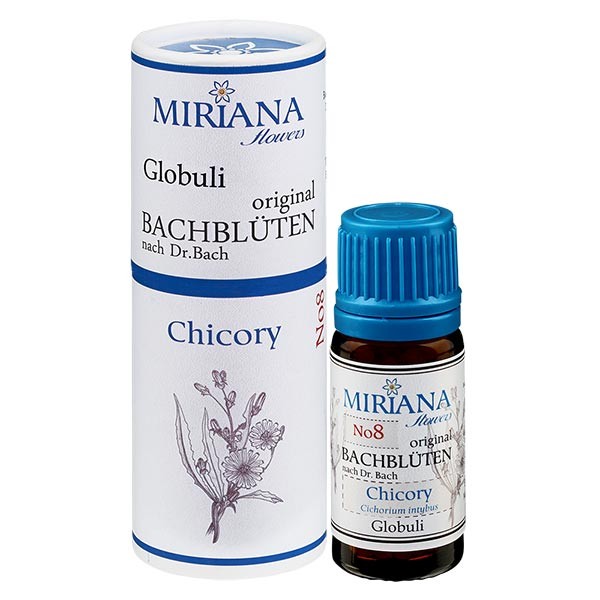 8 Chicory, 10g &quot;Kügelchen&quot;, MirianaFlowers