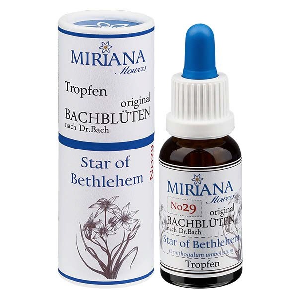 29 Star of Bethlehem, 20ml Essenz, MirianaFlowers