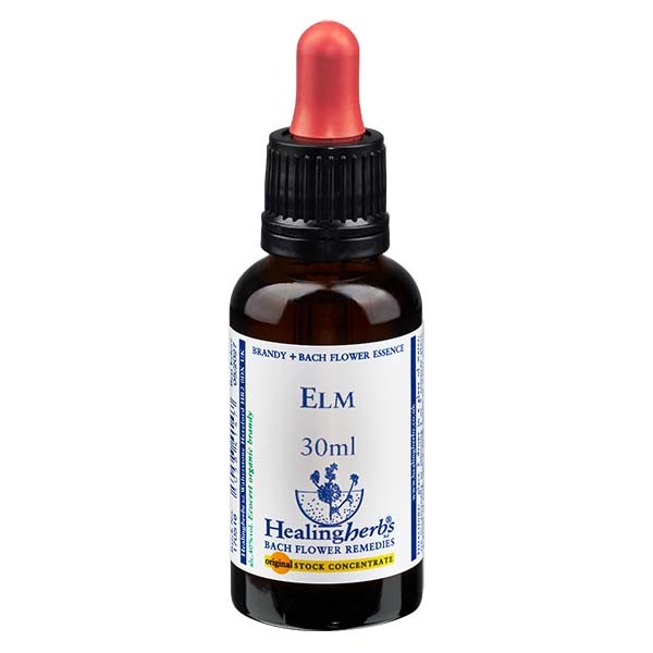 11 Elm, 30ml Essenz, Healing Herbs