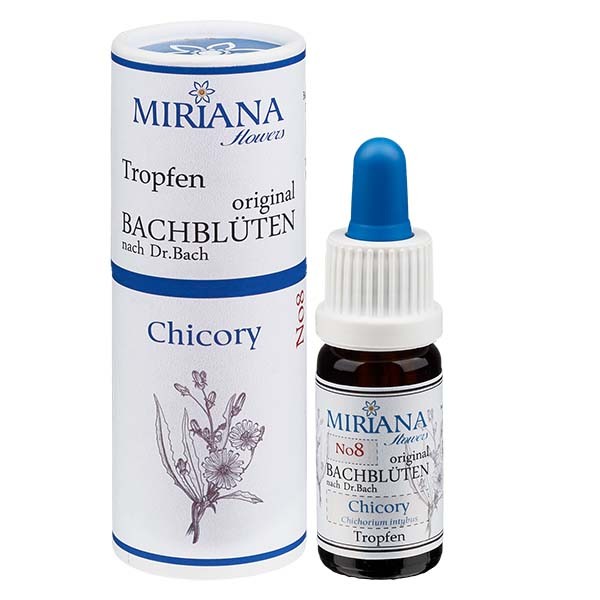8 Chicory, 10ml Essenz, MirianaFlowers