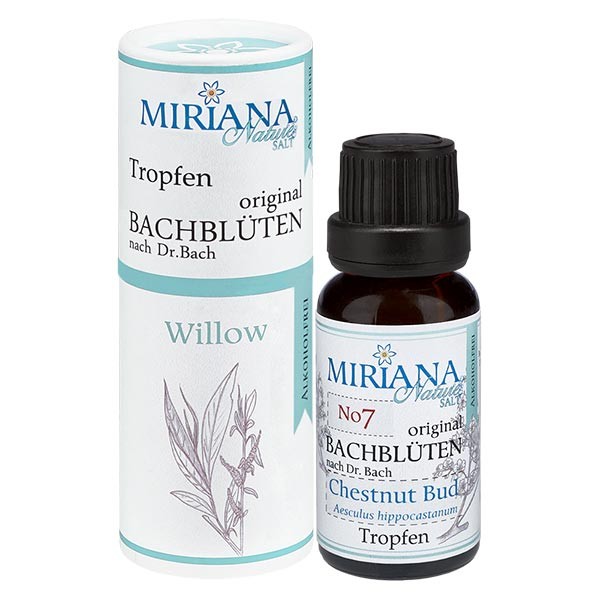 38 Willow, 20ml Essenz (Ohne Alkohol), MirianaNature