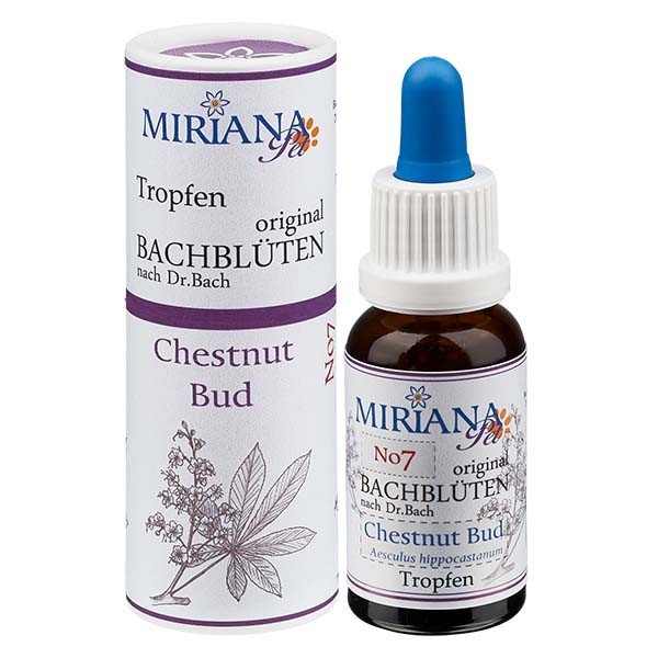 7 Chestnut Bud, 20ml Stockbottle, MirianaPet.