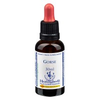 13 Gorse, 30ml Essenz, Healing Herbs 13 Gorse, 30ml Essenz, Healing Herbs