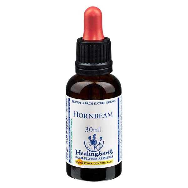 17 Hornbeam, 30ml Essenz, Healing Herbs