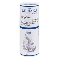 Vorschau: 11 Elm, 10ml Essenz, MirianaFlowers Vorschau: 11 Elm, 10ml Essenz, MirianaFlowers